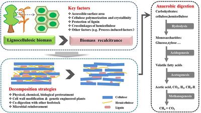 Biomethane Production From Lignocellulose: Biomass Recalcitrance and Its Impacts on Anaerobic Digestion